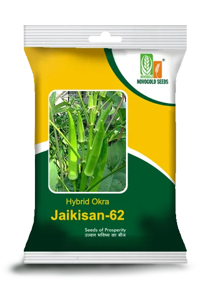 Hybrid Okra Jaikisan-62